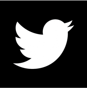 twitterIcon